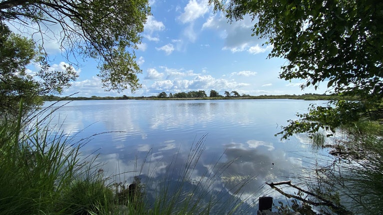 View over Little Sea. Lake framed by trees, blue water and sky.